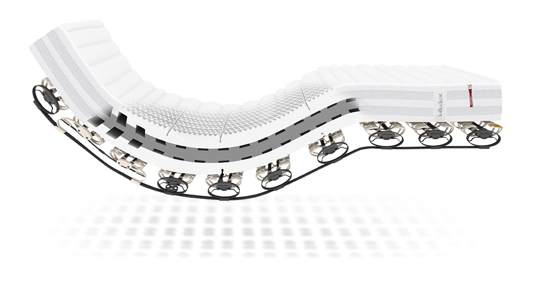 2023_Supermodel%2BMatraze16cm_200_mitSchatten-d90svcf3d0jdpzx